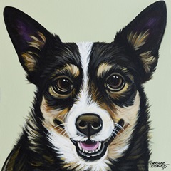 Black and Tan Corgi