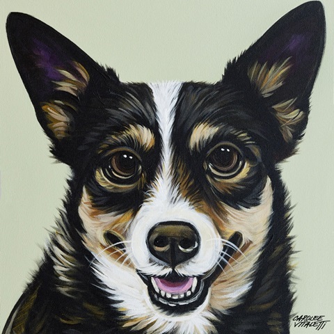 Black and Tan Corgi