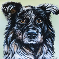 Realistic Australian Shepard