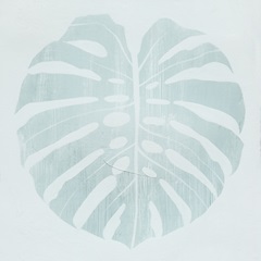 Monstera Shadow II