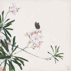 Insects and Flowers V