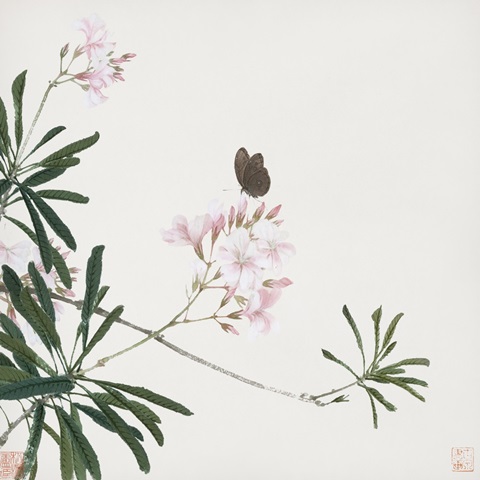 Insects and Flowers V