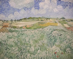Plain near Auvers