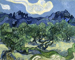 Olive Trees with the Alpilles in the Background