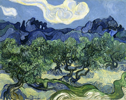 Olive Trees with the Alpilles in the Background
