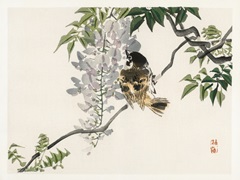 Kono Bairei Songbirds II