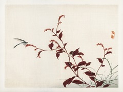 Kono Bairei Dragonflies II