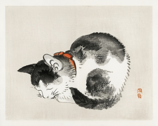Kono Bairei Cat I