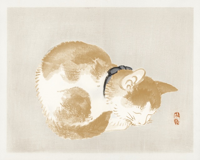 Kono Bairei Cat II