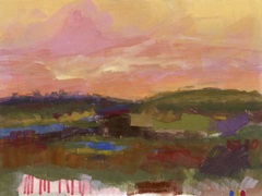 The Western Sky I