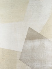 Textured Chiffon I