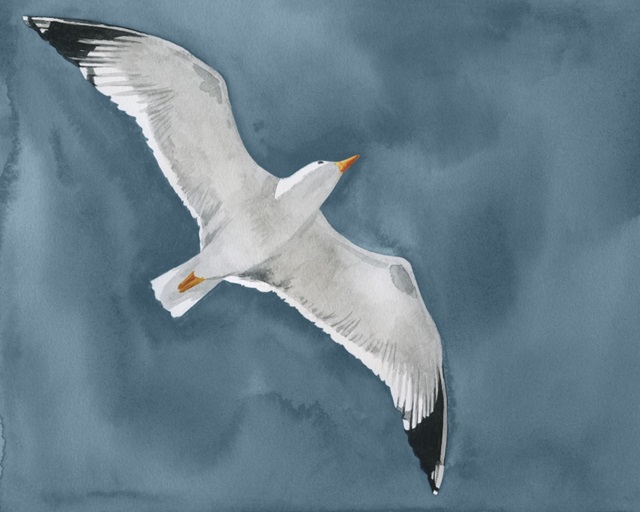 Gull in a Gale I