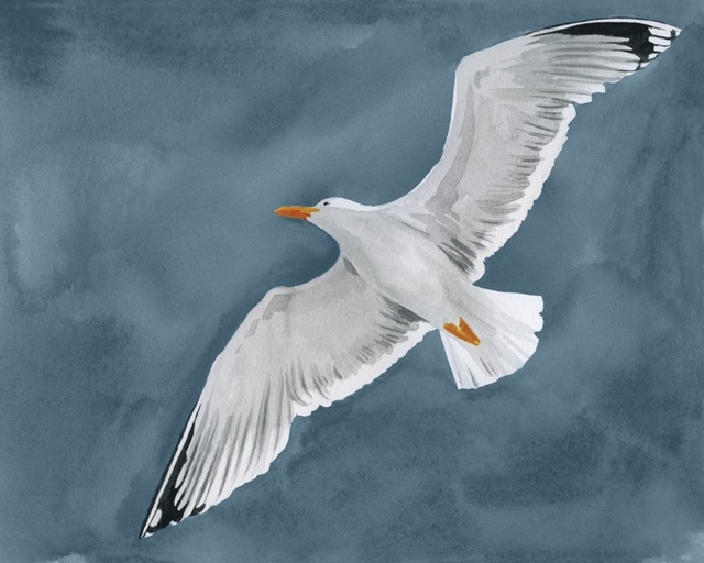 Gull in a Gale II