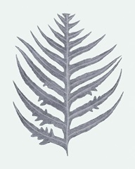 Antique Silver Ferns IV
