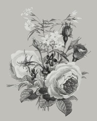 Antique Floral Spray III