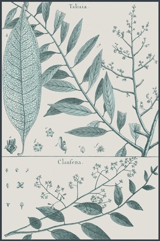 Antique Ferns Revival III