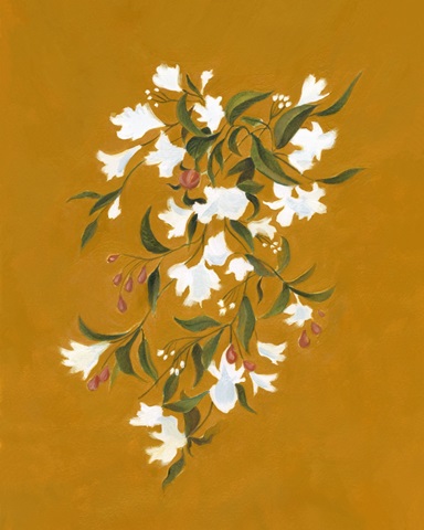 Vine Study in Sienna I