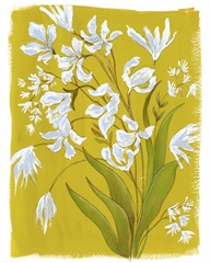 White Blooms in Yellow Field I