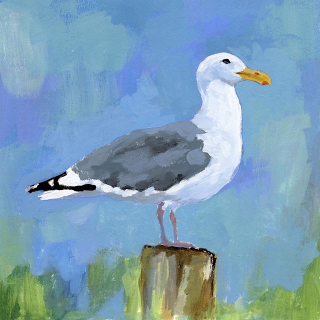 Salty Gull I