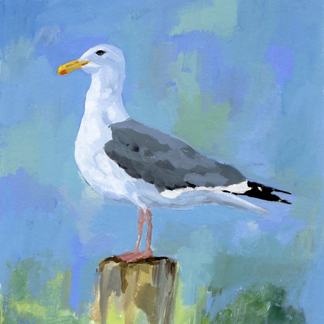 Salty Gull II