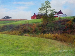 Ohio Barn with Red Fox