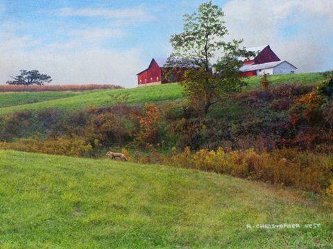Ohio Barn with Red Fox