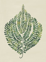 Memory Fern II