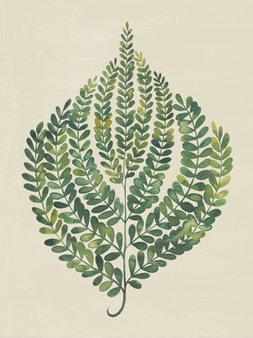 Memory Fern II