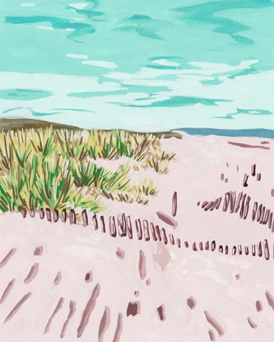 Beach Fence II