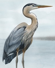 Back Bay Heron I