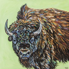 A Large Bison