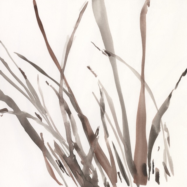 The Brown Grass II