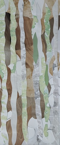 Costa Rica Rainforest II