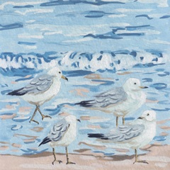 Seagull Birds I