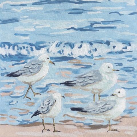 Seagull Birds I