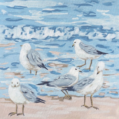 Seagull Birds II