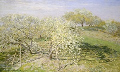 Fruit Trees in Bloom