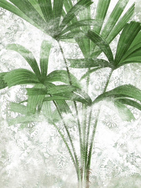 Lace Palms II