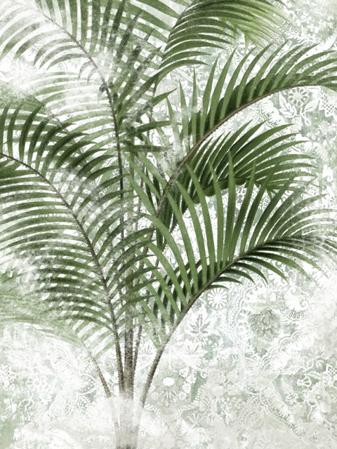 Lace Palms IV