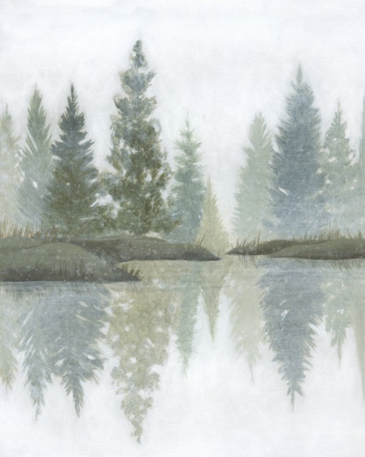 Hazy Winter Reflections I