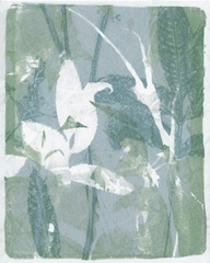 Subtle Sage Flora I