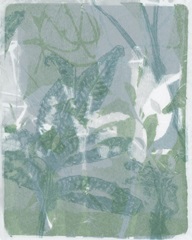 Subtle Sage Flora II