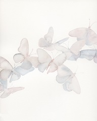 Crystalline Butterflies II