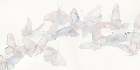 Crystalline Butterflies III