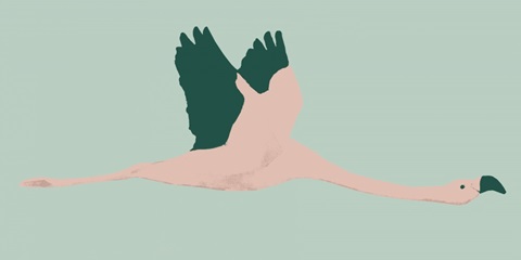 Sherbet Flamingos II