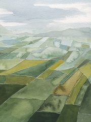 Aerial Quilt I