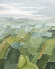 Aerial Quilt II