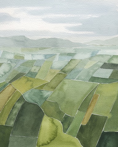 Aerial Quilt II