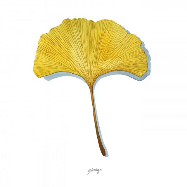 Golden Ginkgo Study I