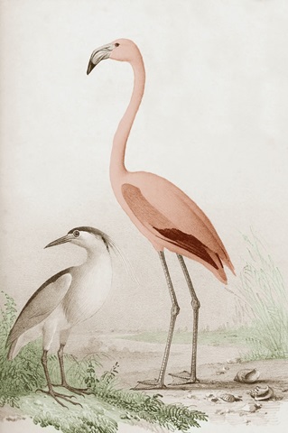Antique Chroma Waterbirds I